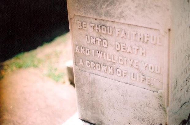 482095_10151112319798799_257514210_n