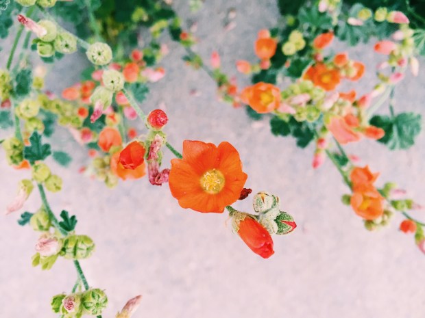 Processed with VSCO with c1 preset